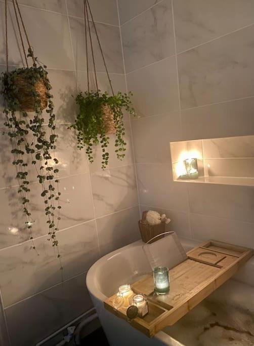 Apartment Vh Iii *
